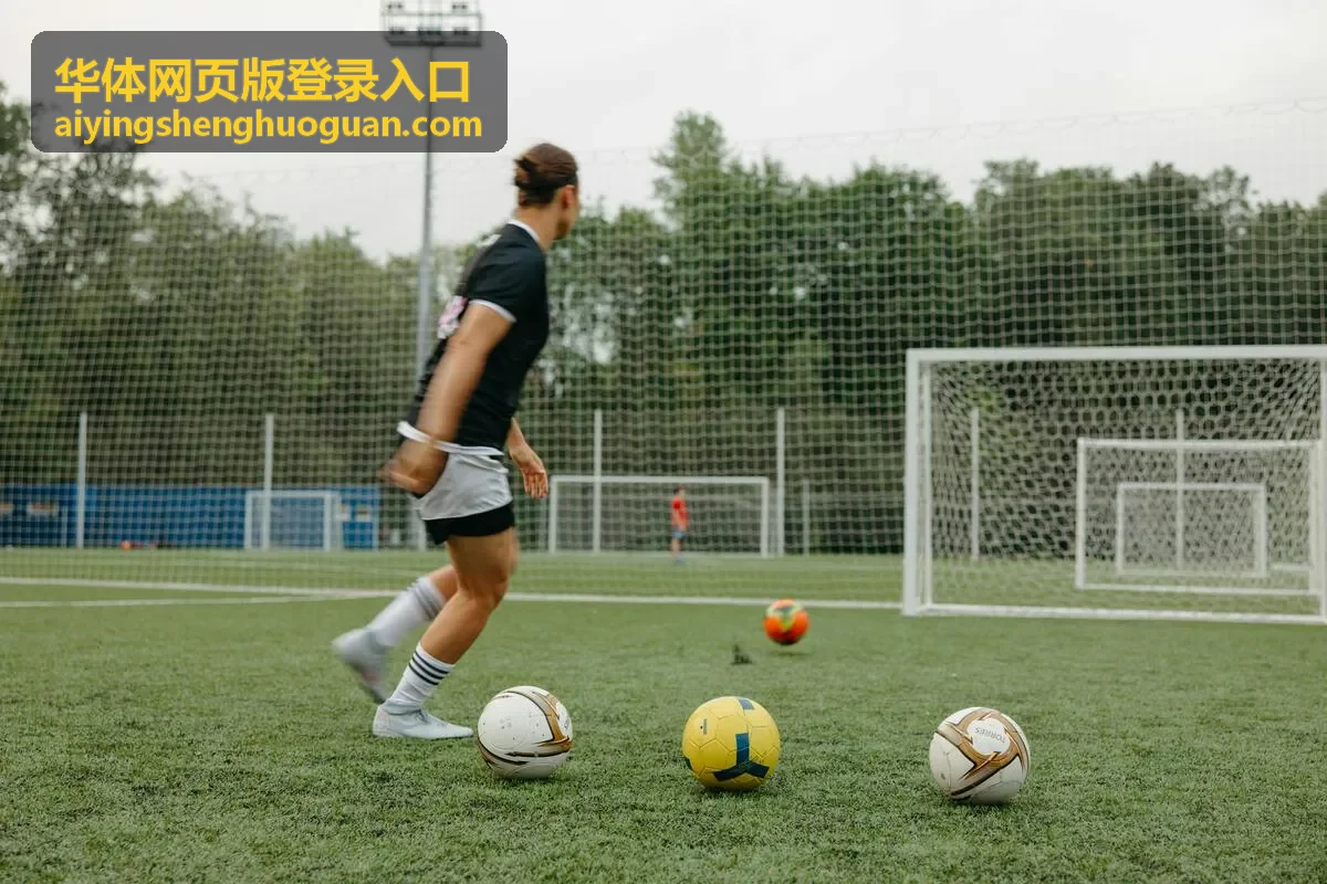 桌面端版本核对与网页登录入口界面