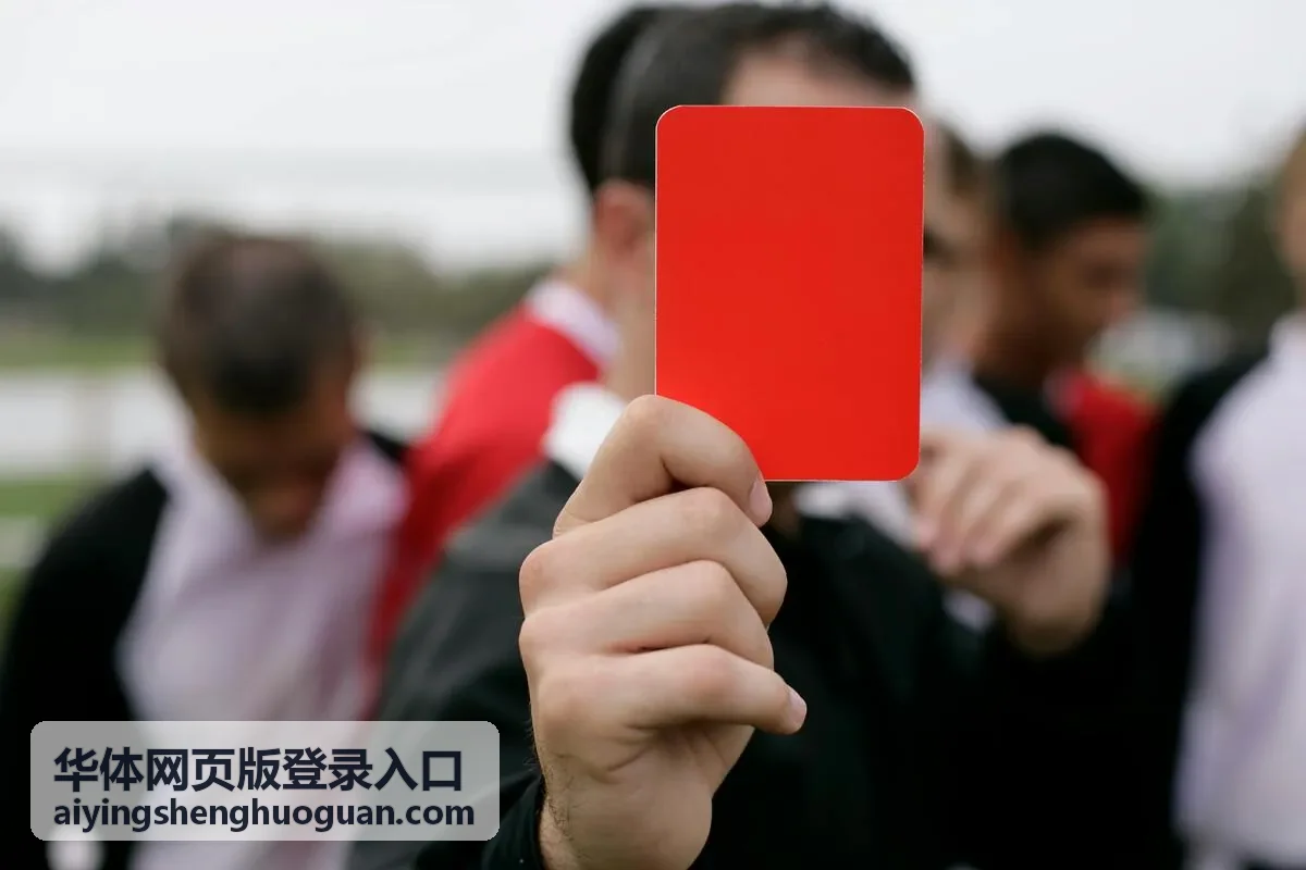 桌面端设置页中的版本与更新入口