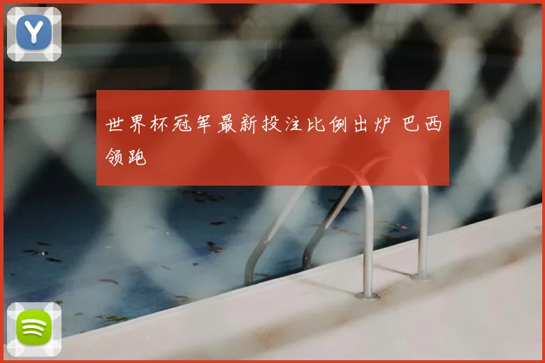 世界杯冠军最新投注比例出炉 巴西领跑